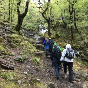 The group walking on up the ascent