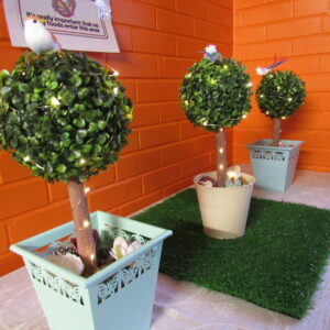 Mini trees with fairy lights used for decorations