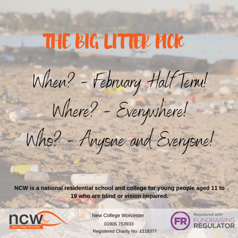promotional image of the campaign. The background is a beach with lots of rubbish. The title is 'the big litter pick'