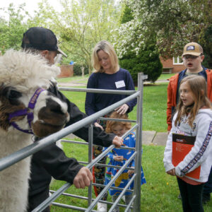 Two families having a look at the Alpacas in their pen