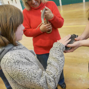 A boy stroking a baby hedgehog with lady in the background who is holding a legless lizard