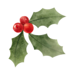 image of holly with red berries