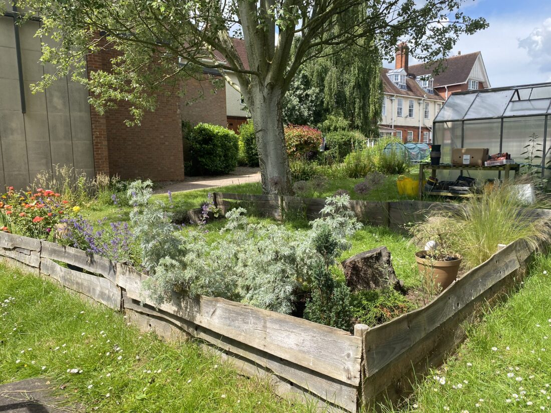 photo of the sensory garden. It is in full bloom and all the plants are very green and luscious